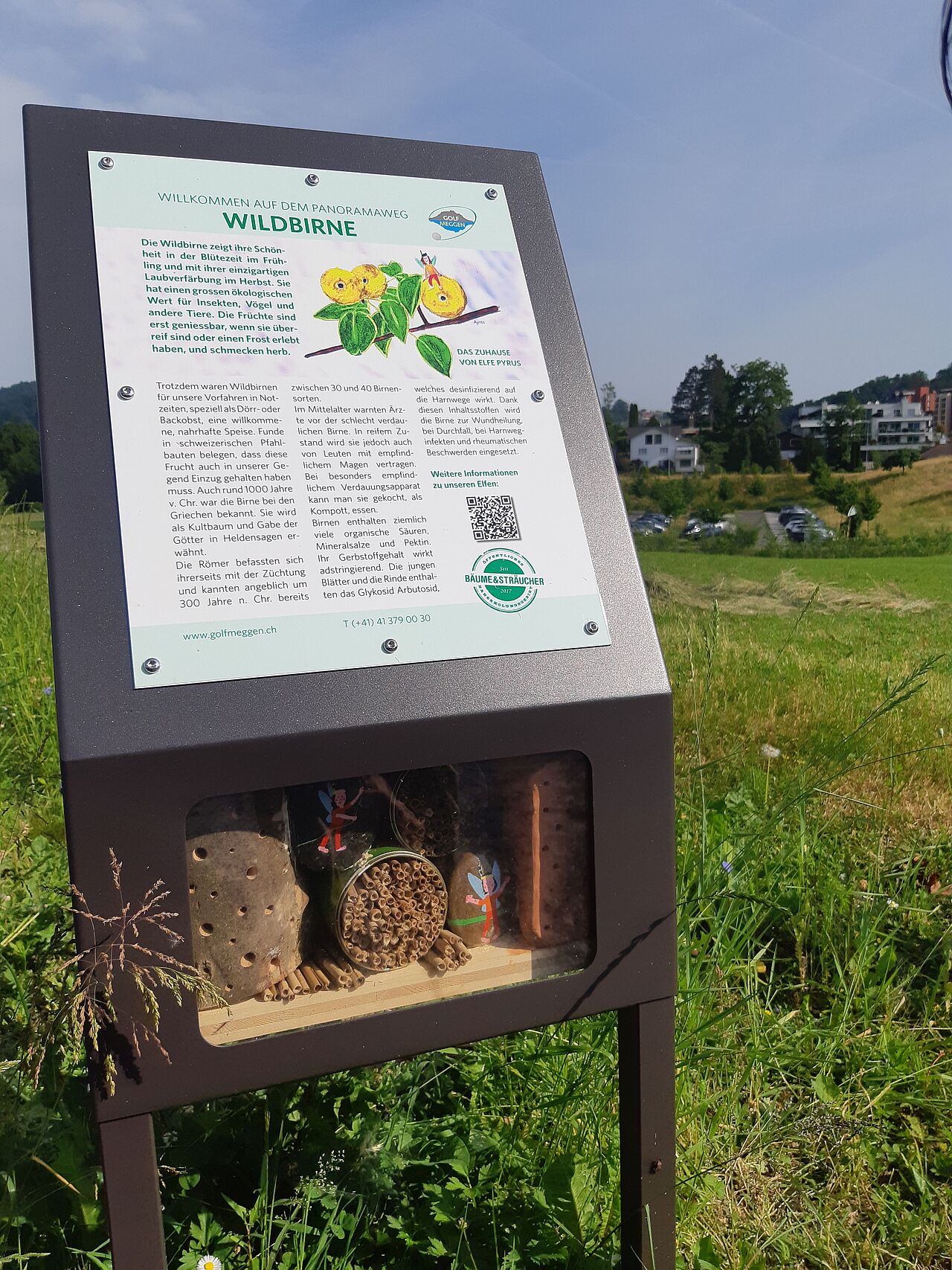 Golf Meggen Elfentafel mit Insektennisthilfe