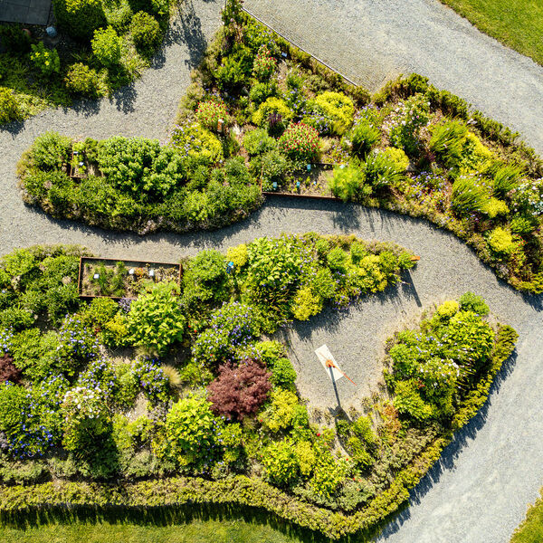 Kräutergarten